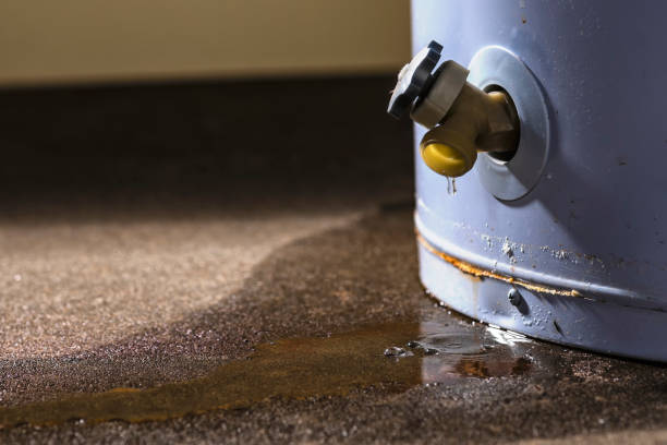 Best Residential water damage restoration  in Potomac Park, CA