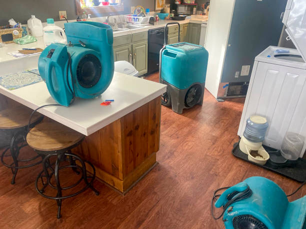 Best Water damage contractors near me  in Potomac Park, CA