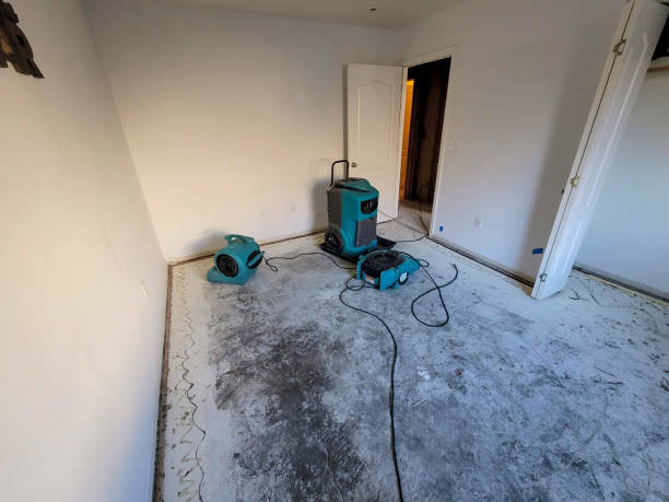 Best Water damage restoration near me  in Potomac Park, CA