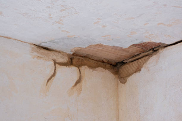 Best Emergency water damage restoration  in Potomac Park, CA