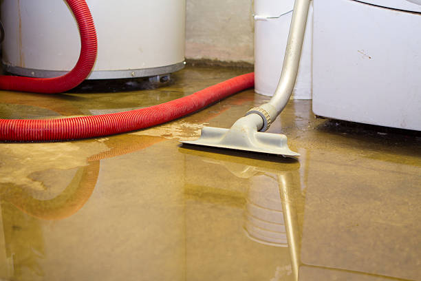 Best Carpet water damage restoration  in Potomac Park, CA