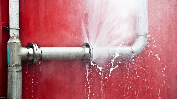 Best Water damage restoration services  in Potomac Park, CA