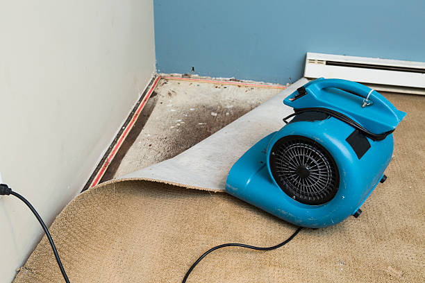 Best Water damage restoration near me  in Potomac Park, CA